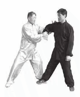 太极劲练到化境 则势不可当